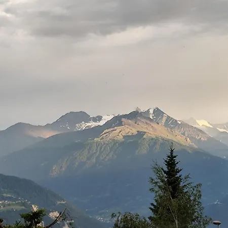 Panoramic View *